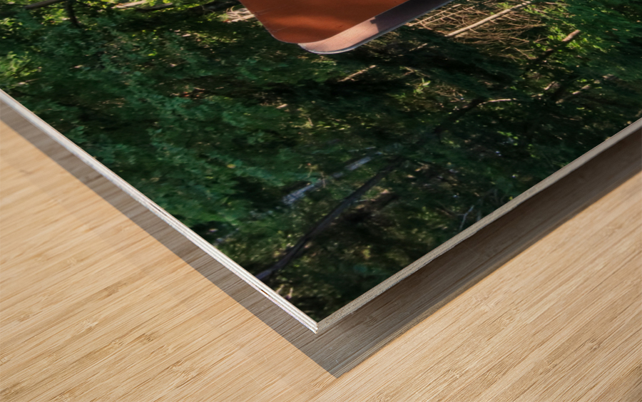 Hiawatha National Forest sign Wood print