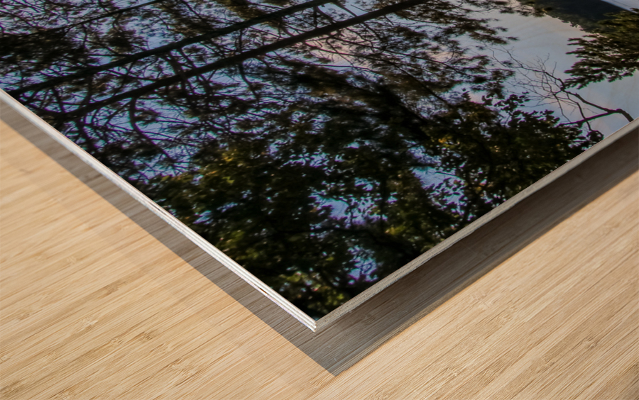 Roadside Park Wood print