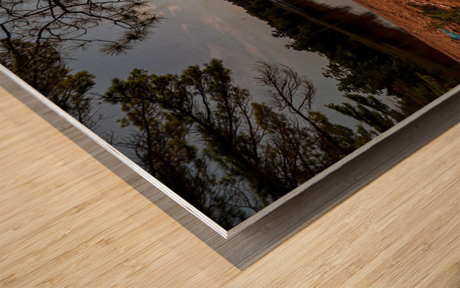 Summer Day at Deer Lake Wood print