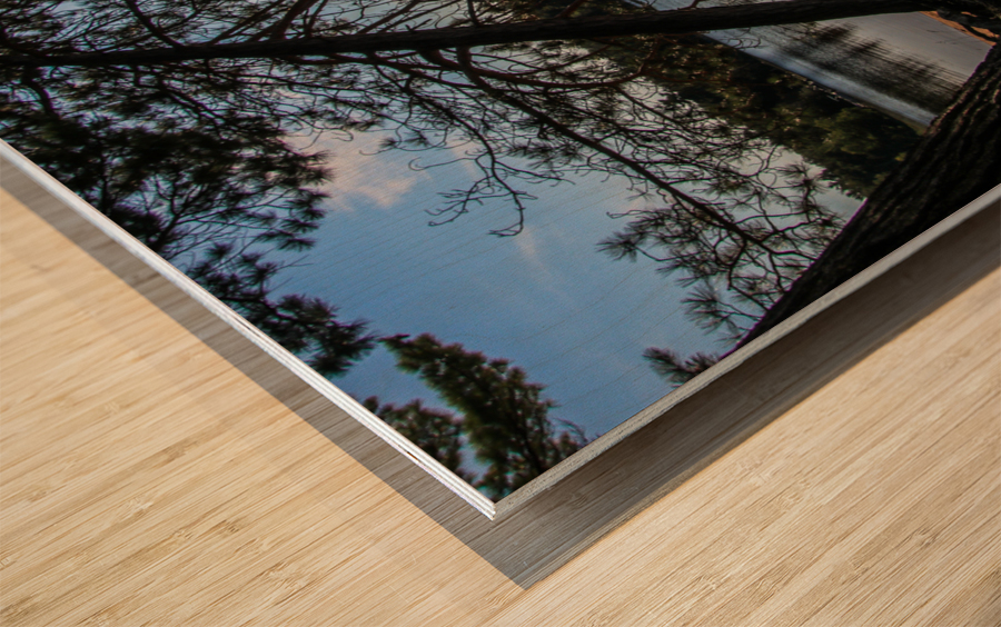 Sunshine on Deer Lake Wood print