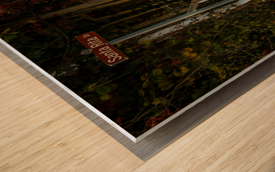 Abondoned Building  Wood print