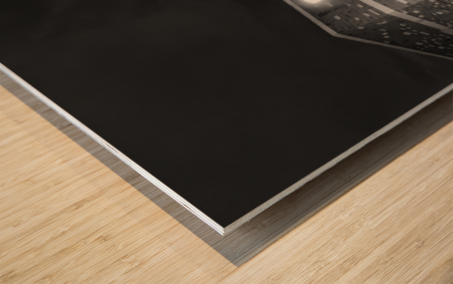 Black and White Illuminations Wood print