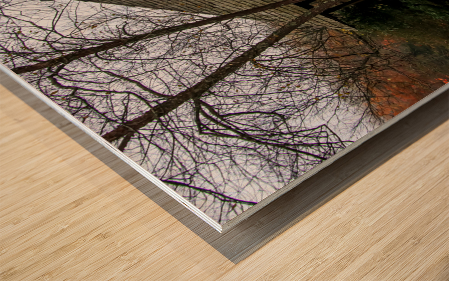 The Gazebo in Autumn Wood print