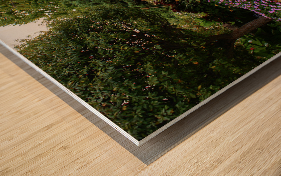 Flower Seating Wood print