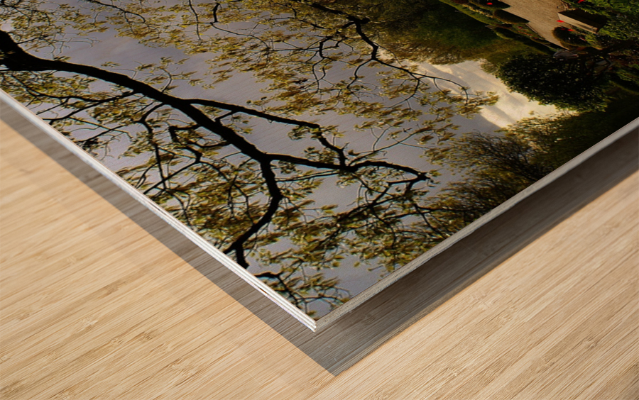 Storm Approaching Wood print